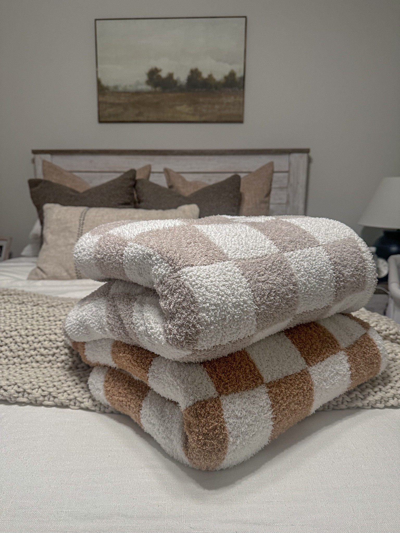 Gift idea for her 🤍 checkered blankets from Amazon - cozy home 

#LTKhome #LTKGiftGuide #LTKCyberWeek