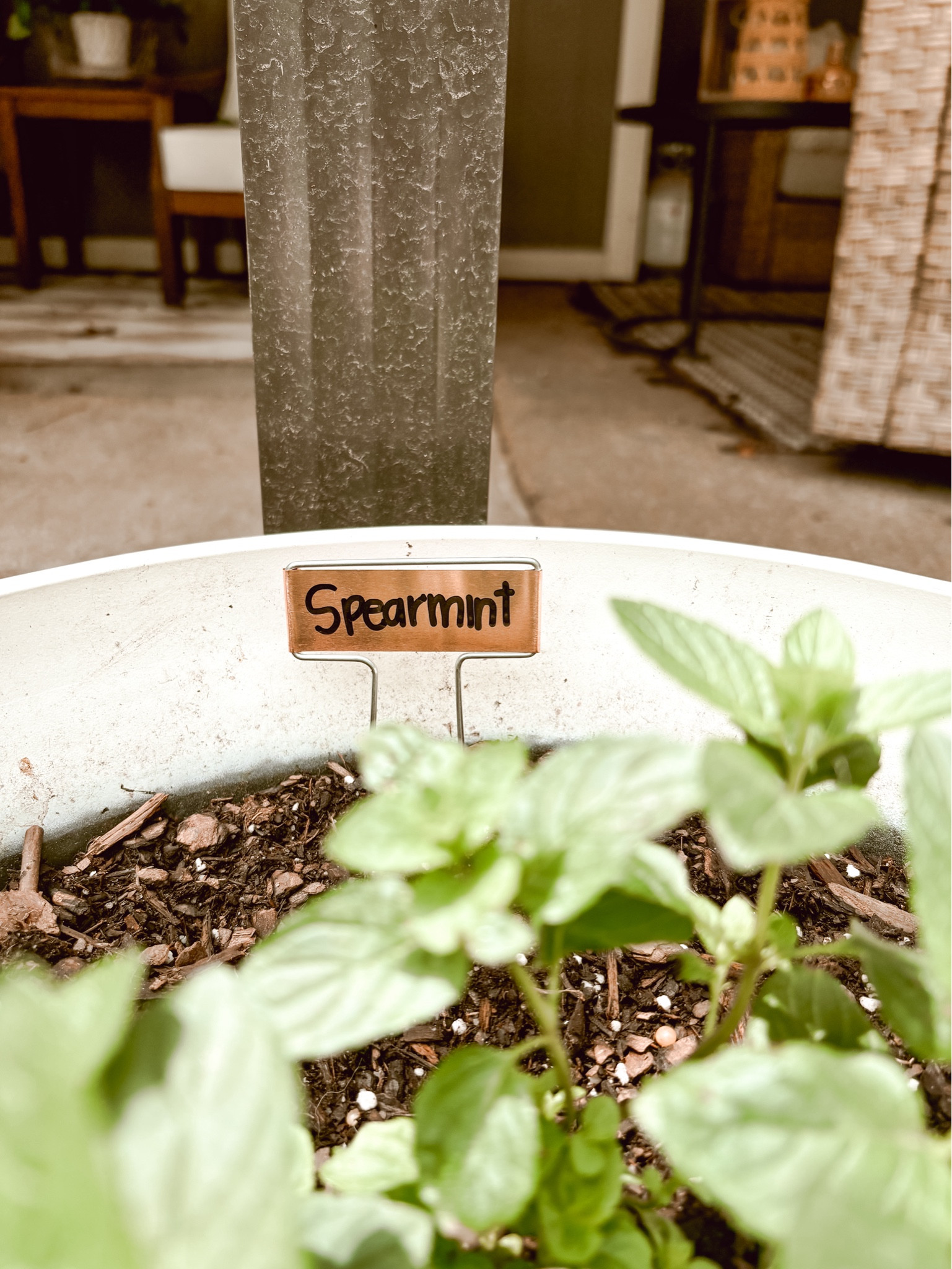 The cutest copper plant markers you ever did see. 😍

#LTKFindsUnder50 #LTKHome #LTKSeasonal