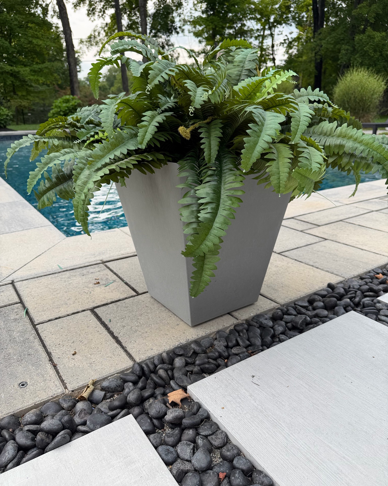 can you believe these ferns aren’t real!? 

shop realistic faux ferns that look designer but wont break the bank!  

🔥 Get TWO 45” ferns for a total of just $35!!

**NOTE: I styled two 45” ferns in this Veradek ‘Nobleton’ planter,  but one fern also fills up the space just fine! (swipe for more pics)

.
.
.
realistic artificial outdoor plants at budget-friendly prices
budget-friendly artificial plants 
uv resistant faux plants 
amazon outdoor decor 
outdoor artificial greenery 
amazon home finds
backyard decor
summer outdoor decor
outdoor living room inspo
inground pool inspo
summer backyard 
patio furniture
outdoor planters
veradek planters
Fall front porch inspo
Fall porch refresh

#LTKSeasonal #LTKHome #LTKSaleAlert