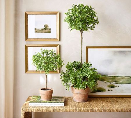Love the French vibe of these boxwood topiaries - and they’re on sale PLUS an extra 15% off the sale price with code EXTRA!!👏🏻👏🏻

#homedecor #springdecor #fauxplants #potterybarn 
