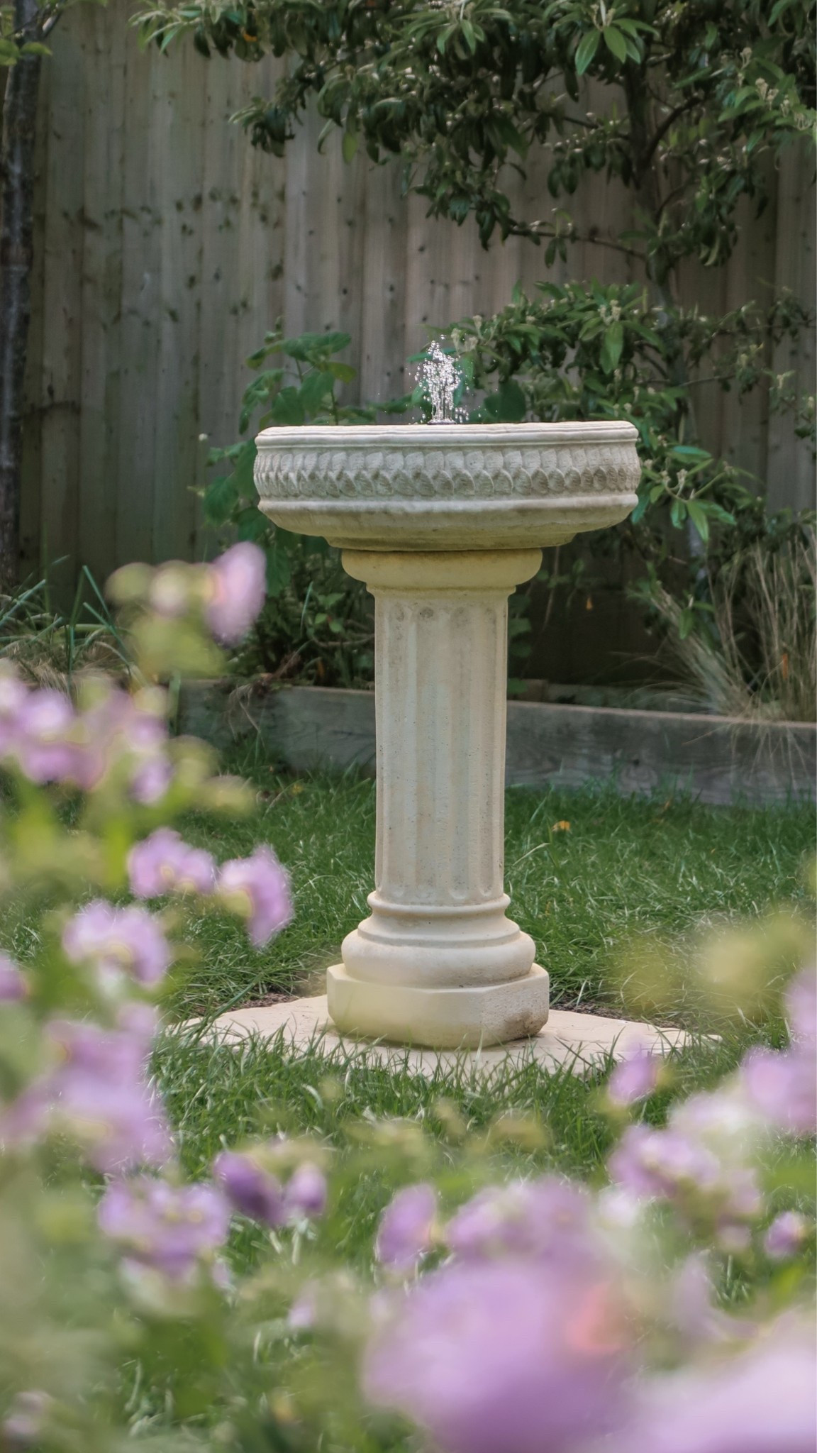 Bird bath 🩵🥹

#LTKspring #LTKsummer
