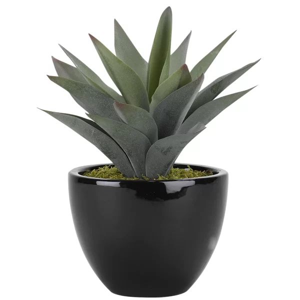 11.5'' Faux Succulent Plant in Ceramic Planter | Wayfair North America
