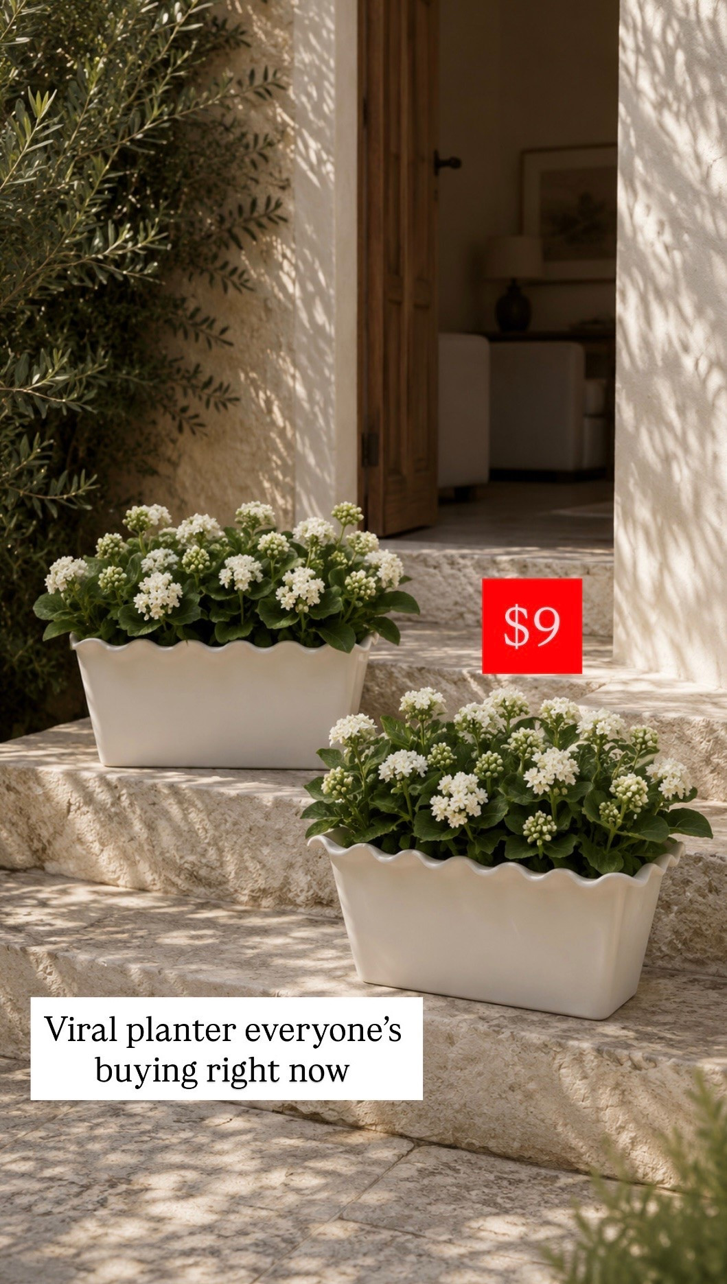 Viral scalloped planters these have been selling like crazy because they’re so affordable would look so cute on your porch scalloped planters fortune patio

#LTKHome #LTKSaleAlert