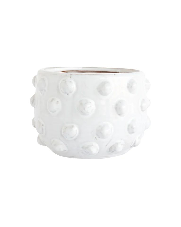 Dotted Terracotta Planter | McGee & Co.