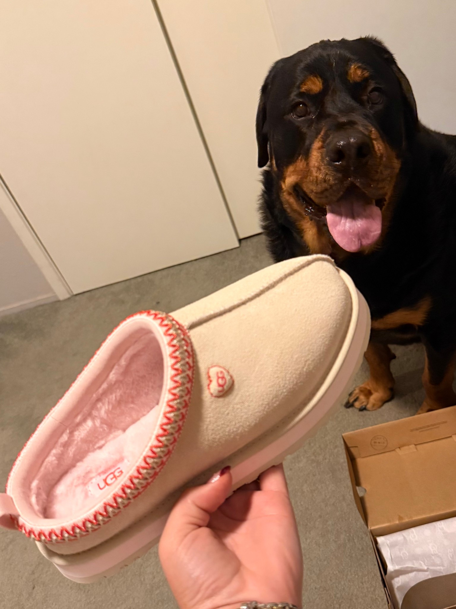 Valentine Ugg Tazz

#LTKSeasonal #LTKU #LTKValentine