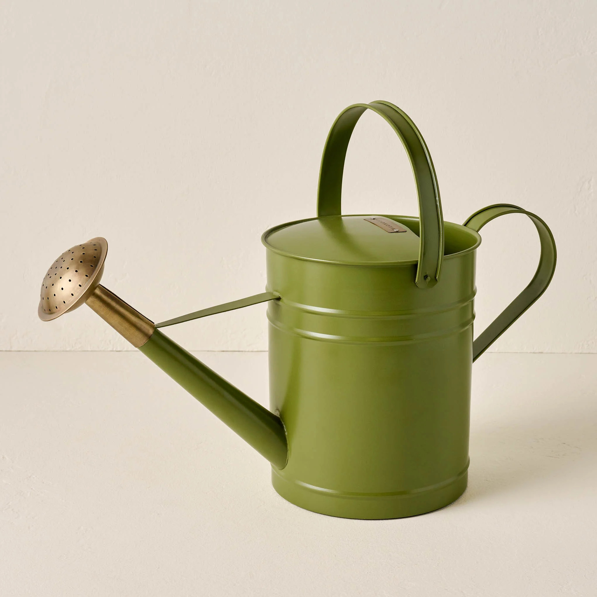 Magnolia Green Enamel Watering Can | Magnolia