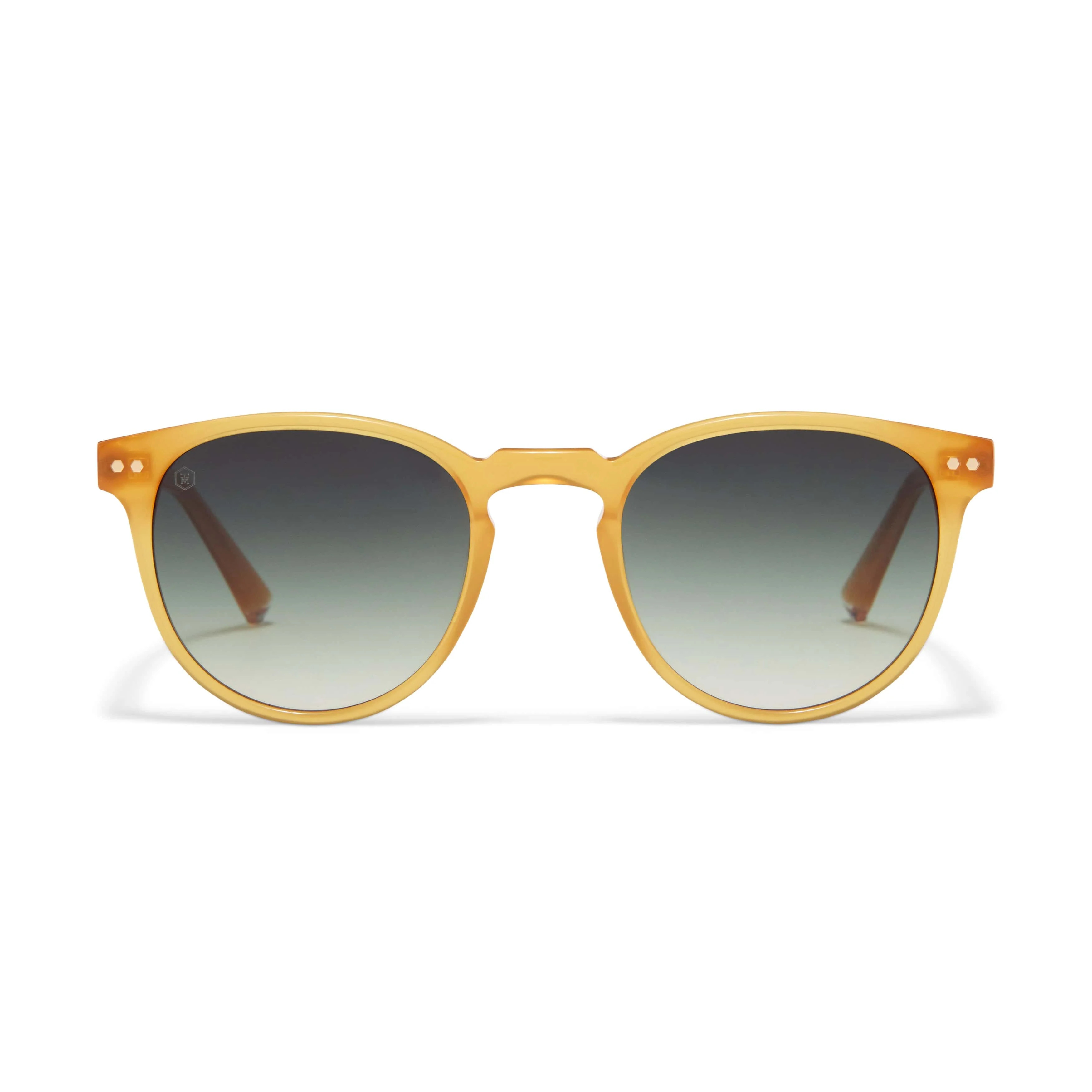 Mitre Sunglasses | Taylor Morris Eyewear (UK)