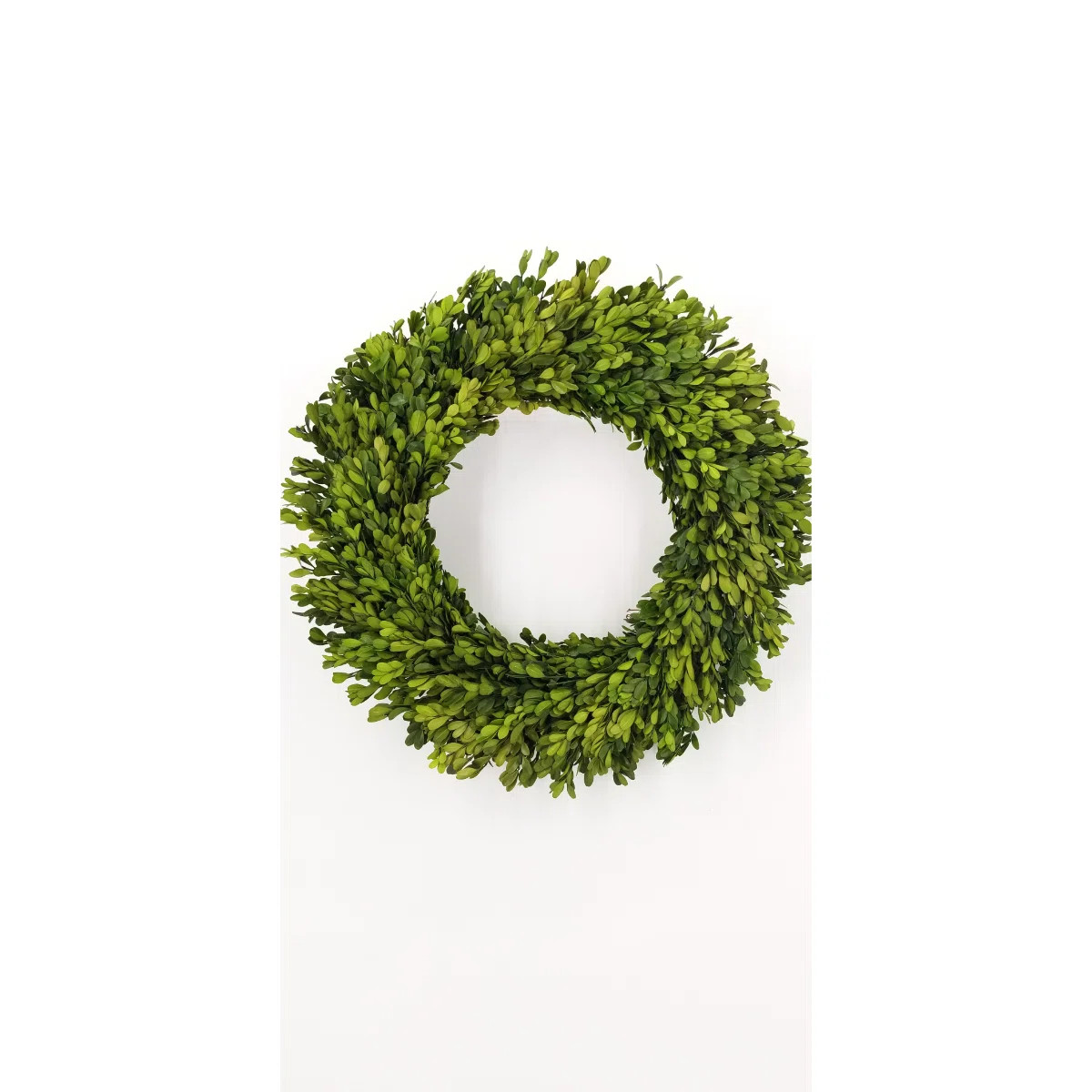 Preserved Boxwood Wreath | Wayfair North America