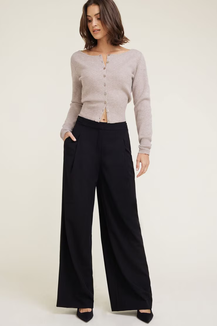 Leni Pleated Wide Leg Pants | Dynamite Clothing