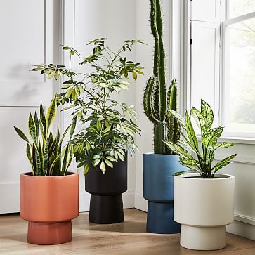 Bishop Indoor/Outdoor Pedestal Planters | West Elm (US)