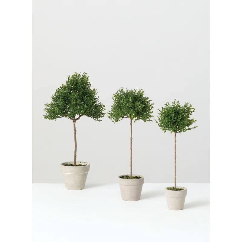 Steelside™ 3 Piece Tea Leaf Topiary in Pot Set & Reviews | Wayfair | Wayfair North America
