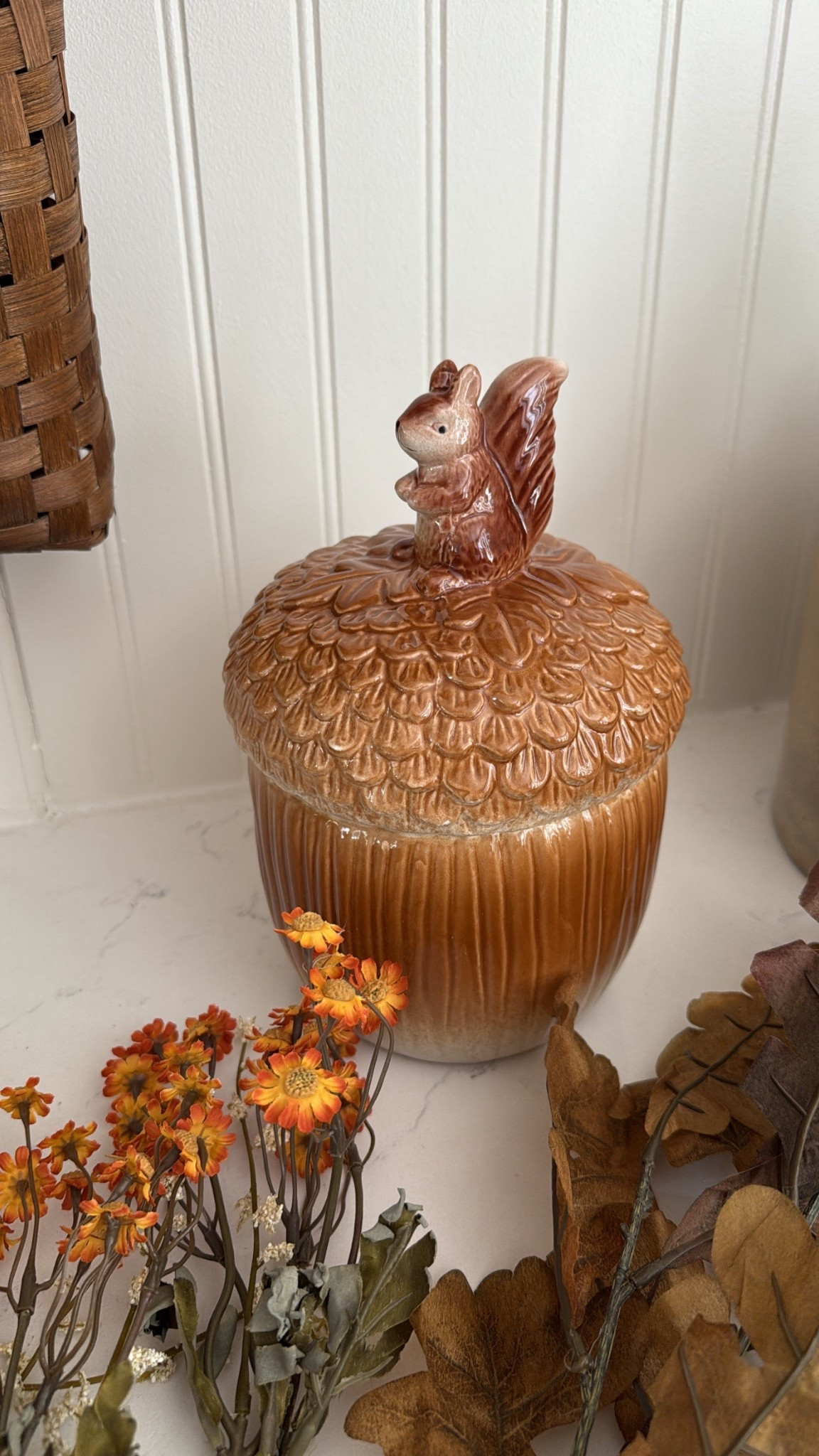 Cutie Fall 🐿️ cookie jar! 