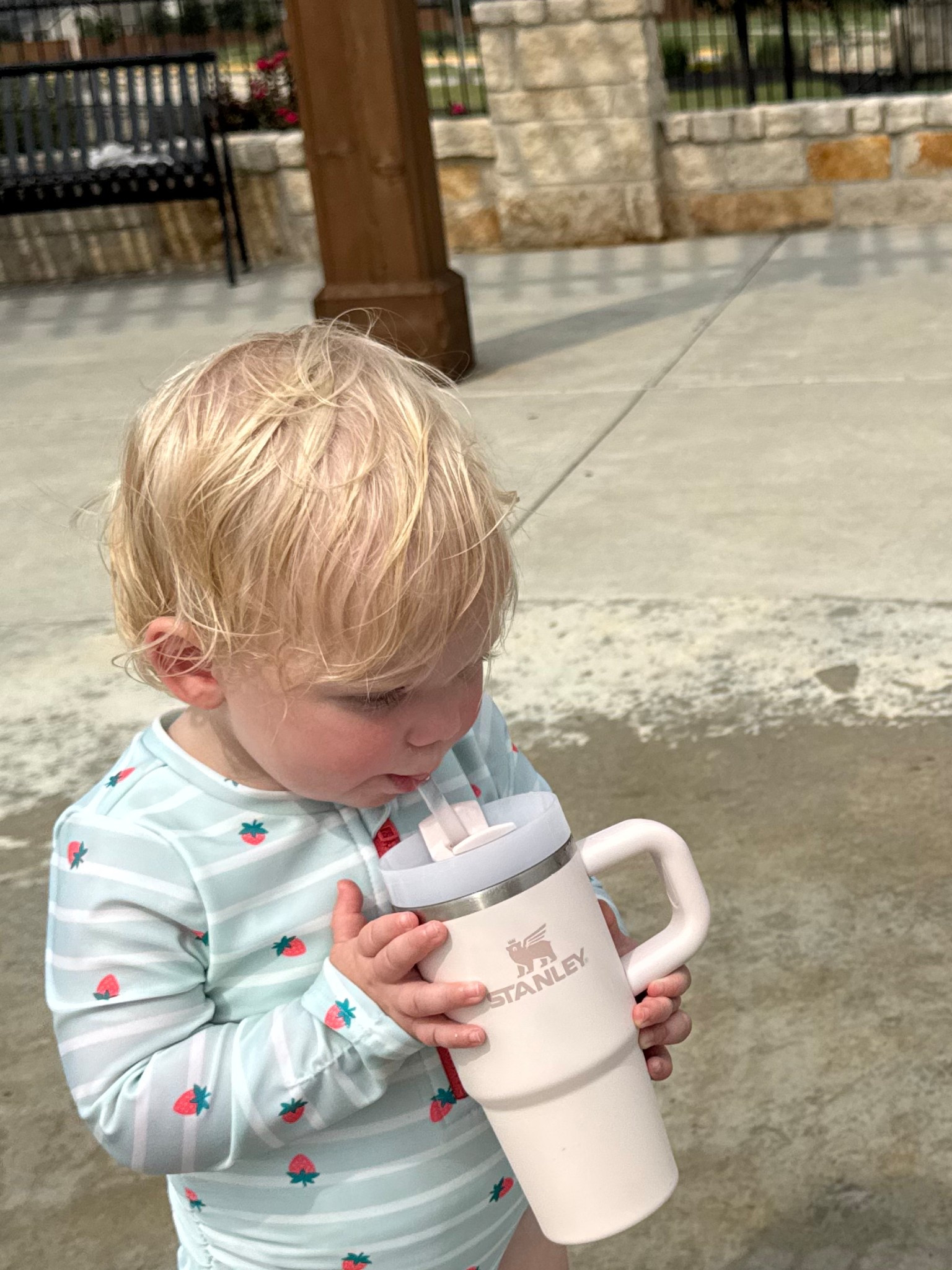 Our favorite toddler Stanley cups 

#LTKFamily #LTKBaby #LTKKids