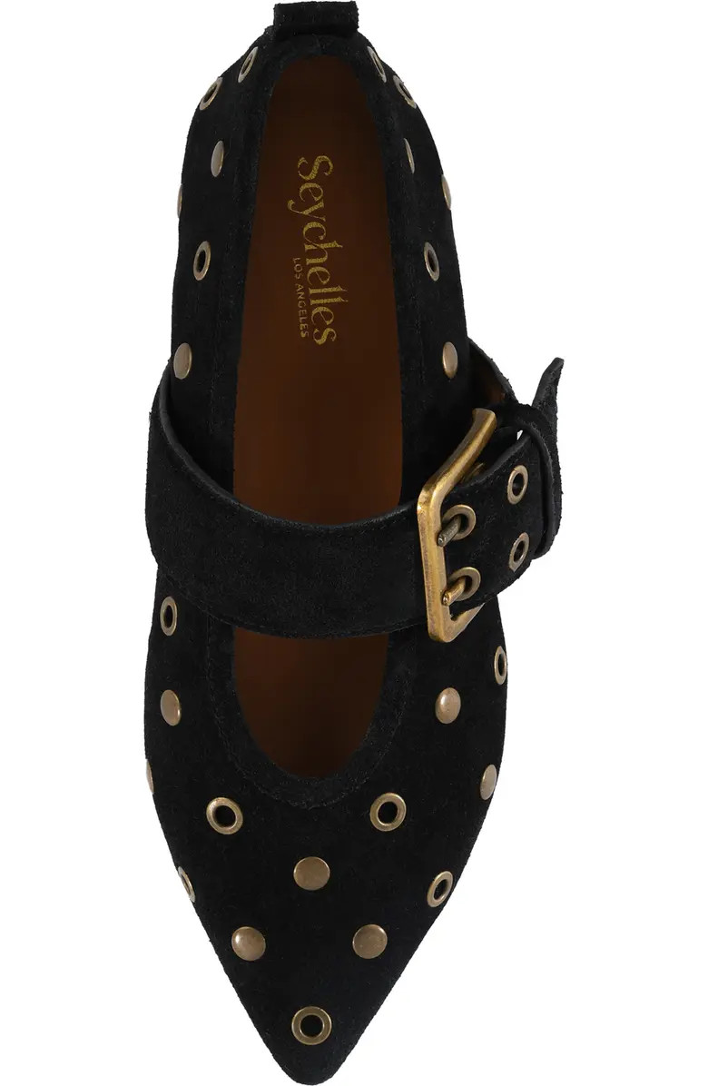 Abbey Pointed Toe Flat (Women) | Nordstrom