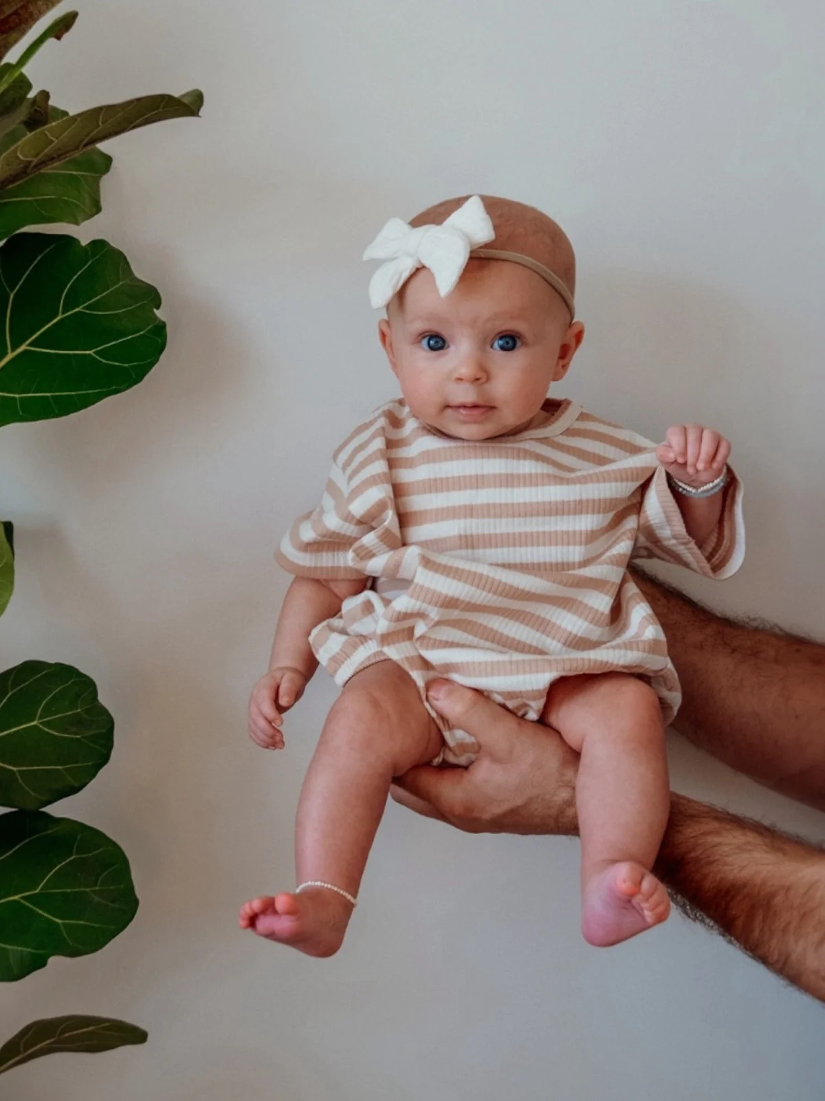 Tan Stripe / Organic Ribbed T-Shirt Bubble | SpearmintLOVE