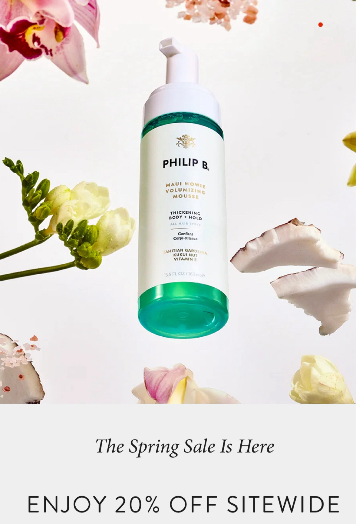 Last day of the Phillip B sale. 20% site wide. No code needed. Discount applied in cart site wide. Rare sale! #phillipB #over40 #over40hair #blondehair #grayhair #maturehair #phillipbsale #haircare #hairproductd

#LTKSaleAlert #LTKOver40 #LTKBeauty
