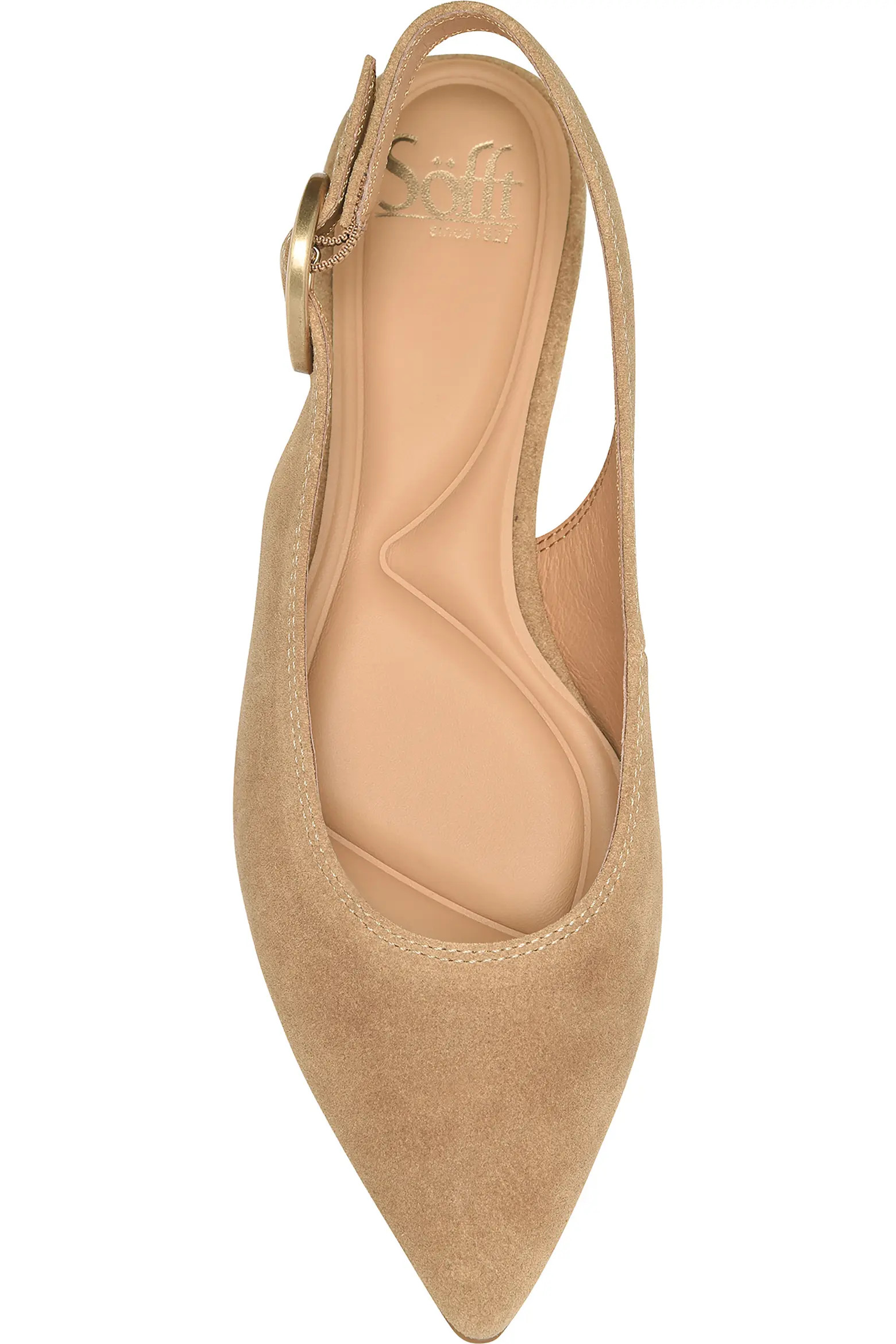 Marcella Slingback Pointed Toe Pump (Women) | Nordstrom | Nordstrom
