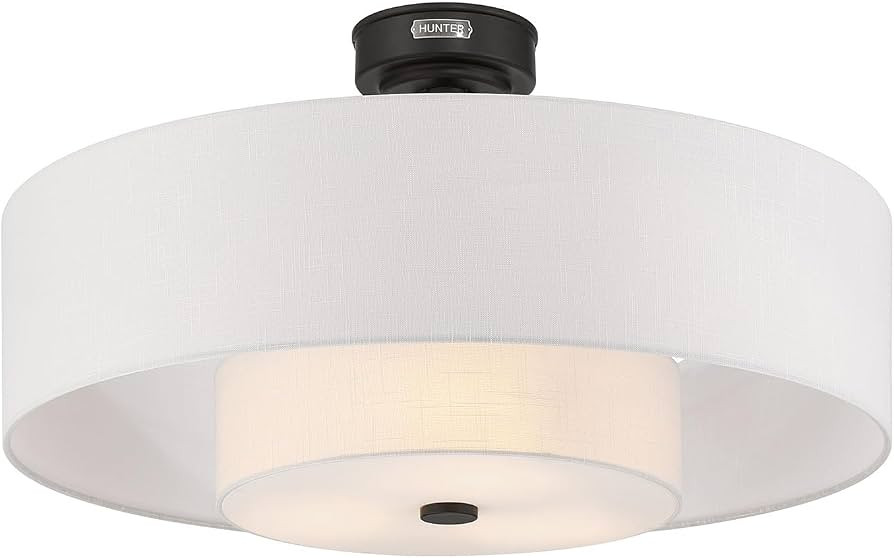 Hunter 30" Brookside Fandelier Ceiling Fan, LED Light, Remote, Black | Amazon (US)
