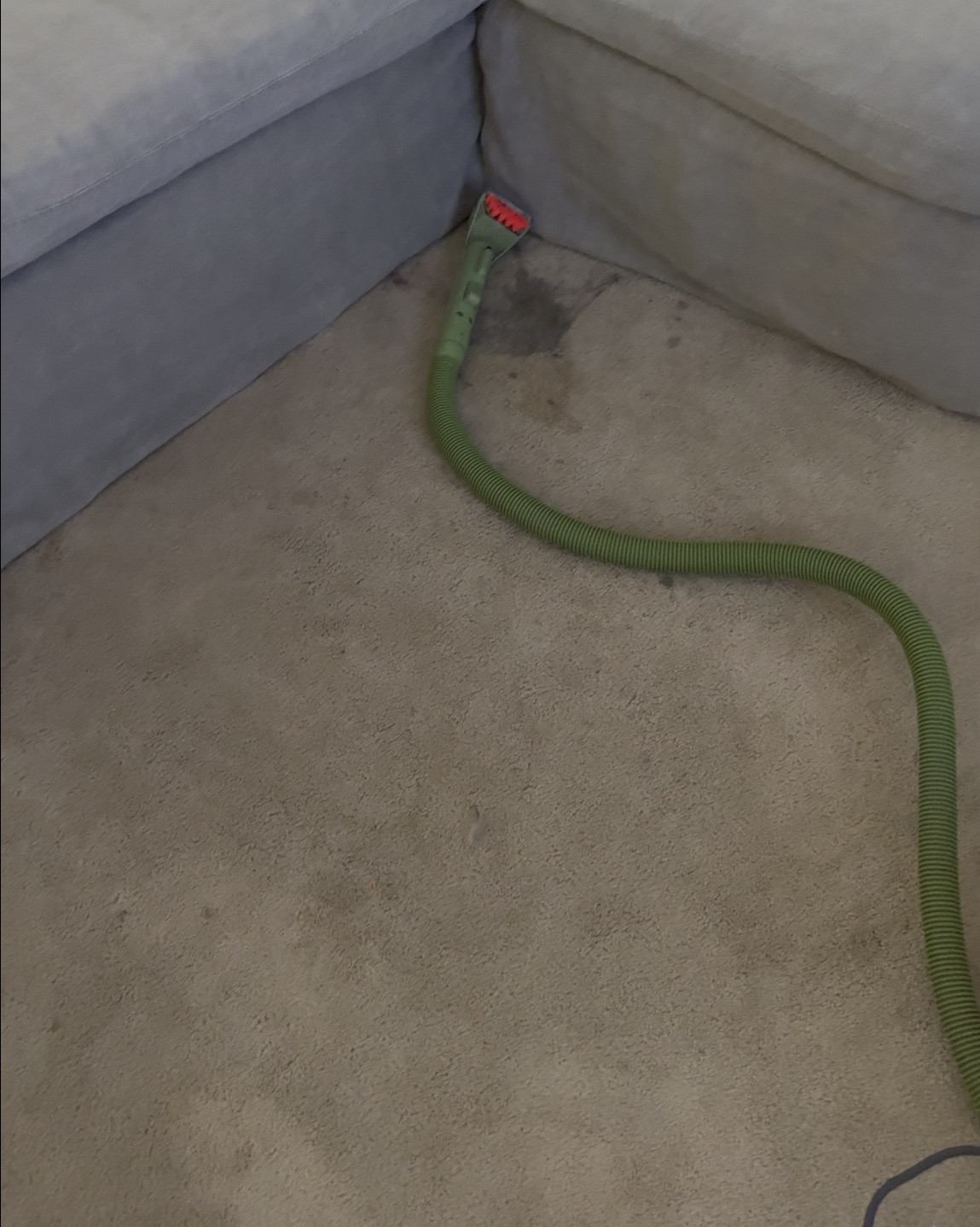 In case you’re cleaning like me right now, prepping for Christmas! The bissel green machine handles our worst stains so well! Carpet cleaning must have! 

#LTKHome #LTKmomlife