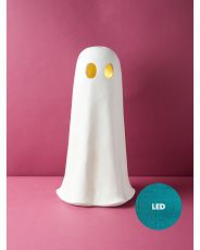 24in Led Light Up Battery Operated Ghost | HomeGoods