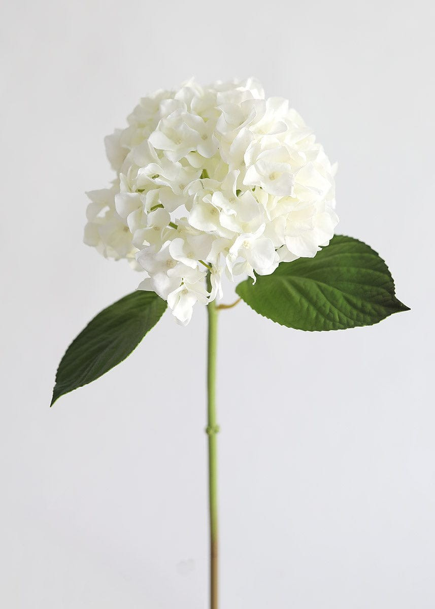 Real Touch Hydrangea in Talc White  - 18 | Afloral (US)