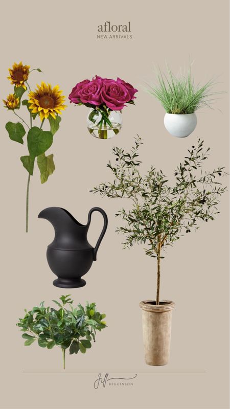 Afloral new arrivals! 

Plants, flowers, tree, vase, pitcher, home decor 

#LTKfindsunder100 #LTKsalealert #LTKhome