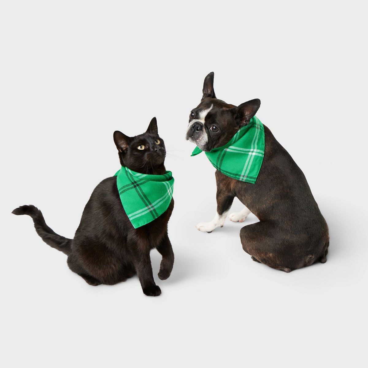 Plaid Matching Family Cat and Dog Bandana - Wondershop™ - One Size Fits Most | Target