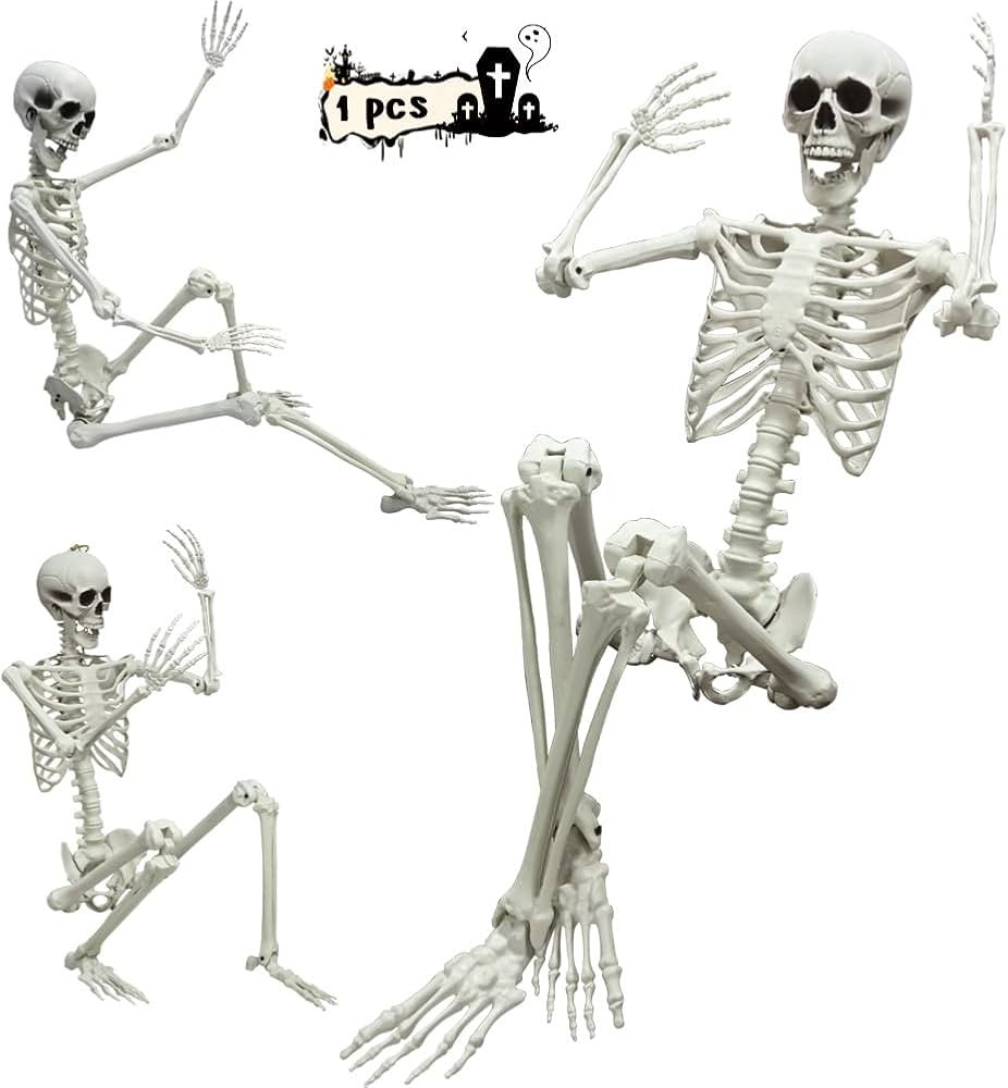 5.4Ft Halloween Skeleton, Halloween Life Size Skeleton Full Body Human Skeleton Halloween Decorat... | Amazon (US)