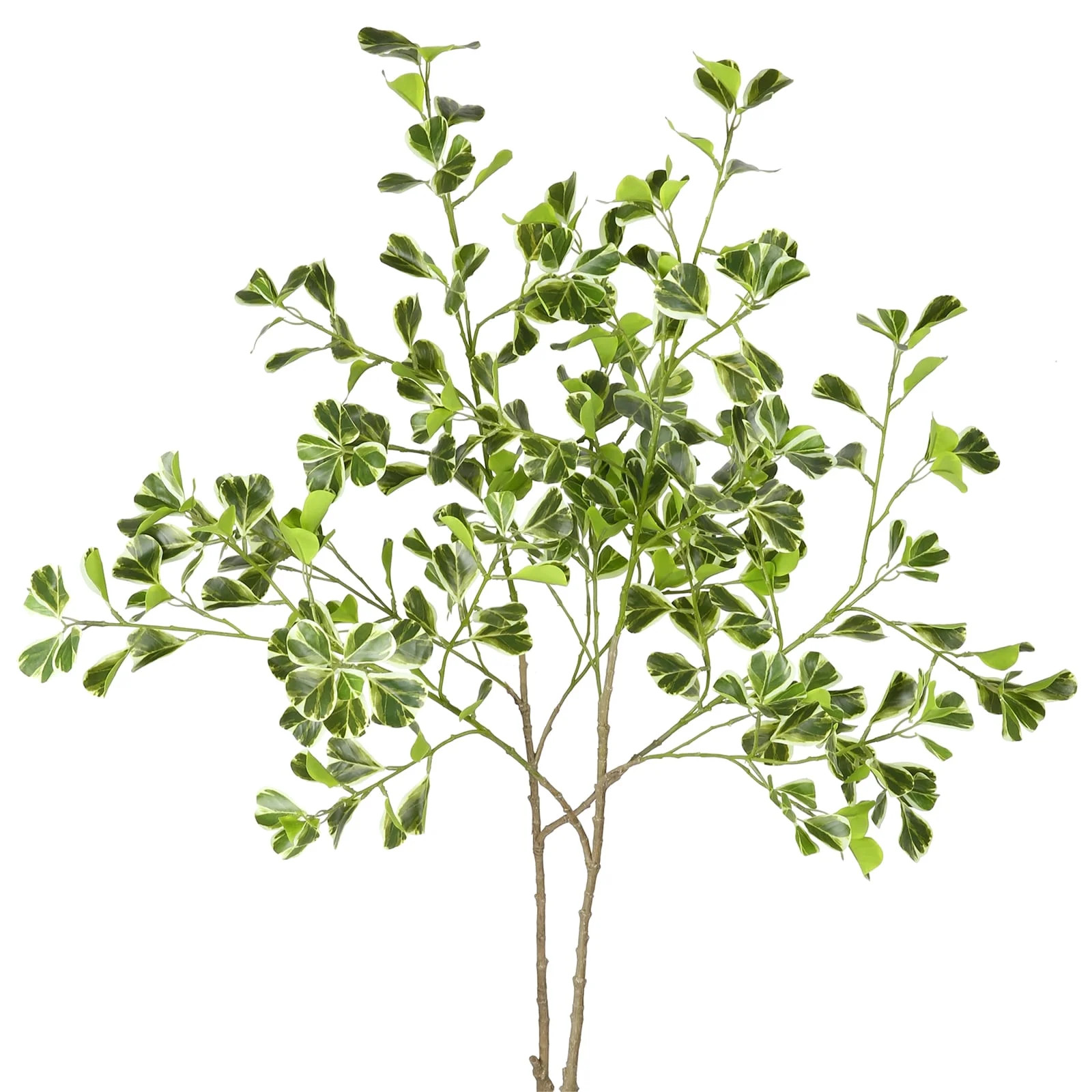 PARMPH 2 pcs Artificial Ficus Branches, 44.5'' White-Edged Heart-shaped Artificial Greenery Decor... | Walmart (US)