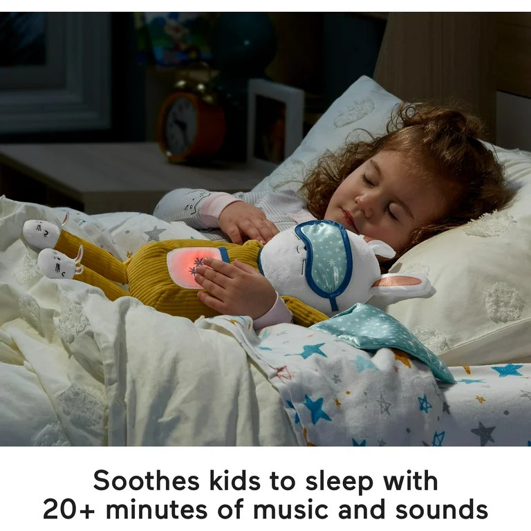 Fisher-Price Hoppy Dreams Soother & Sleep Trainer, Toddler Plush Toy | Walmart (US)