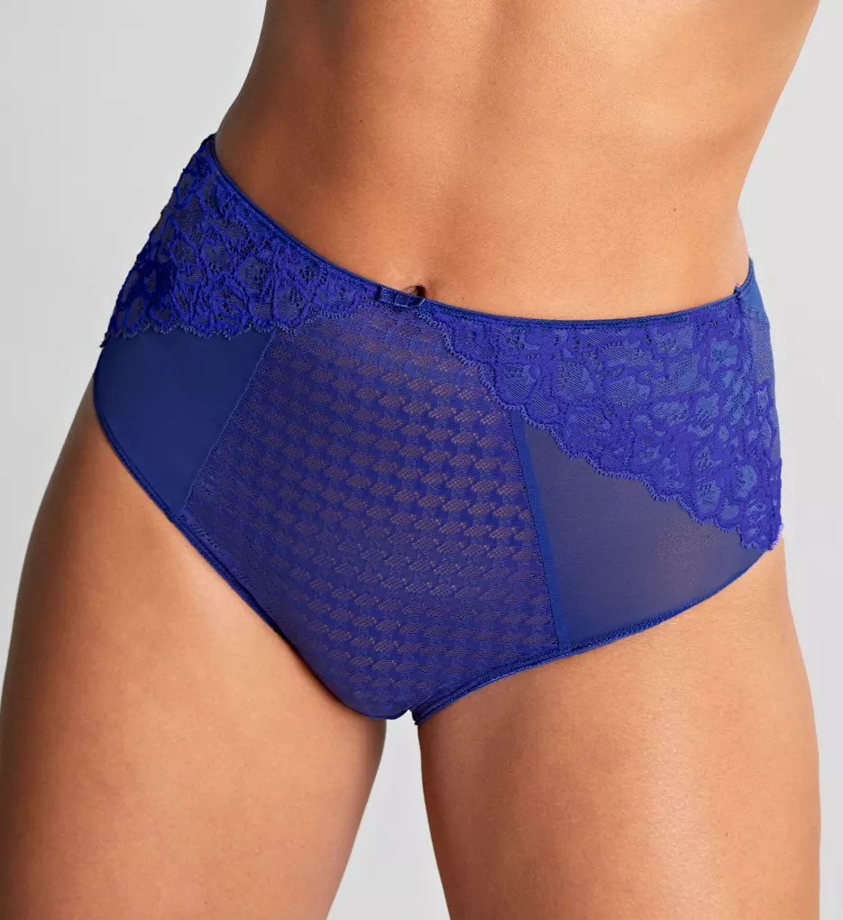 Envy Deep Brief Panty | HerRoom