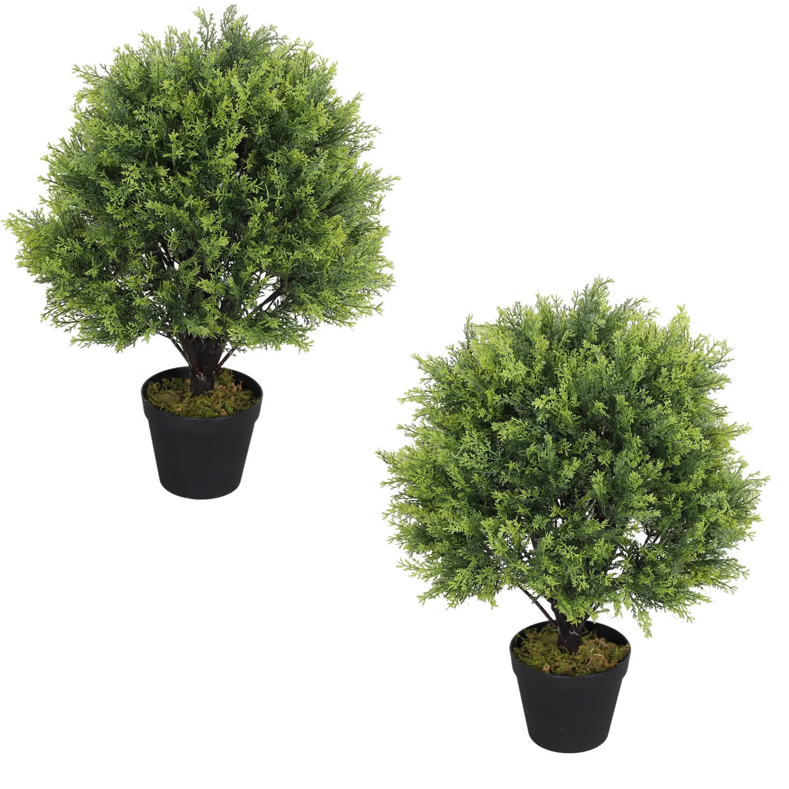 Levine Artificial Topiary Cedar Ball Tree 24'' Fake Cedar Potted Plants (Set of 2) | Wayfair North America