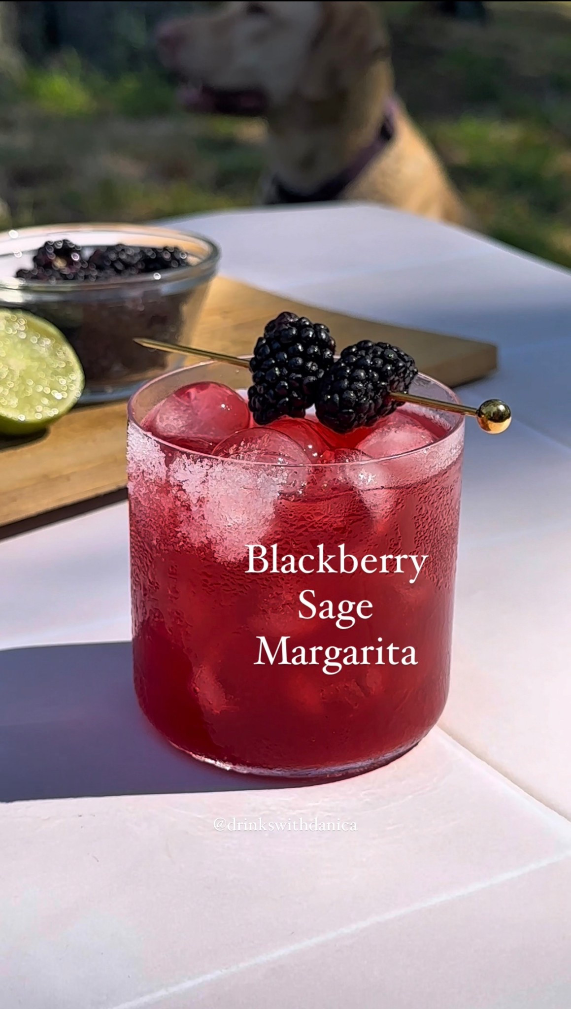 Blackberry Sage Margarita

Follow me on Instagram and TikTok @drinkswithdanica for this recipe and more 