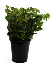 10x23 Uv Resistant Outdoor Safe Ivy | TJ Maxx