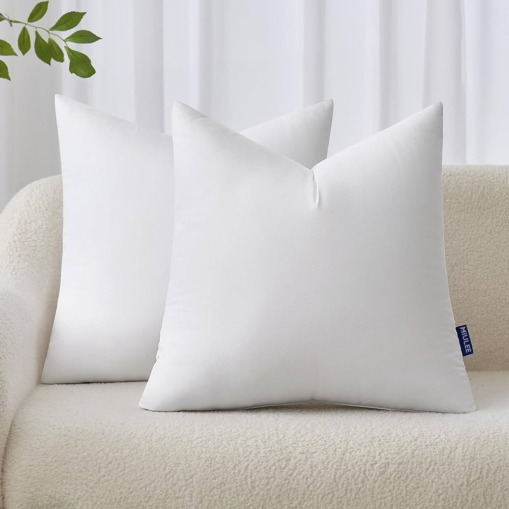 MIULEE 18x18 Inches Pillow Inserts Pack of 2, Decorative Throw Pillow Inserts for Couch | Amazon (US)
