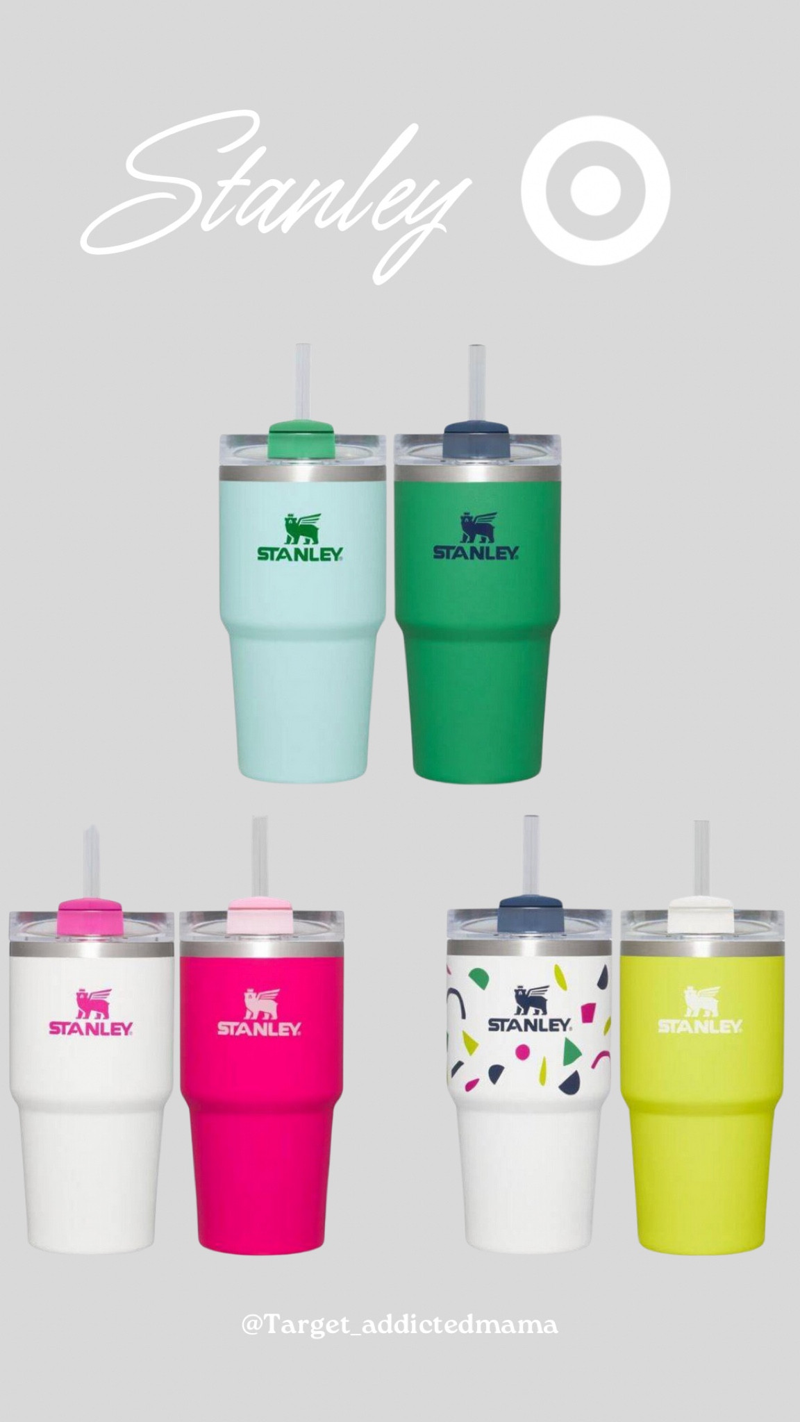 Stanley Target Collection 20oz Quencher Tumblers 2pack


#LTKHoliday #LTKGiftGuide #LTKSeasonal