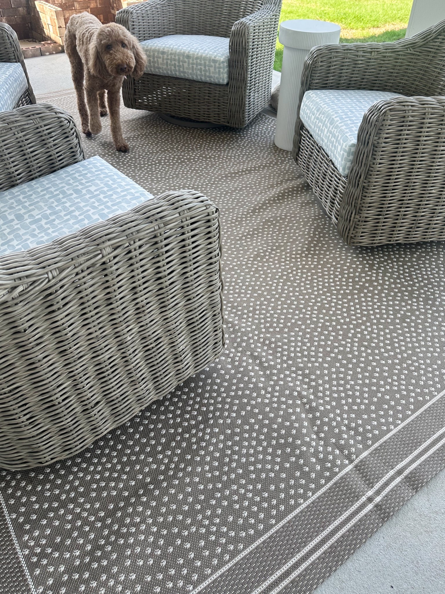 Outdoor rug 🔗

#LTKHome #LTKSeasonal