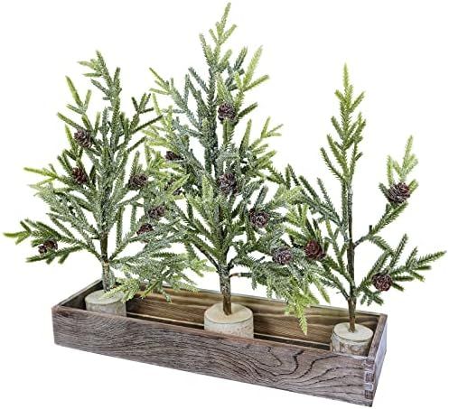 Winlyn Set of 3 Mini Frosted Artificial Pine Trees with Wood Bases Tabletop Christmas Tree Center... | Amazon (US)