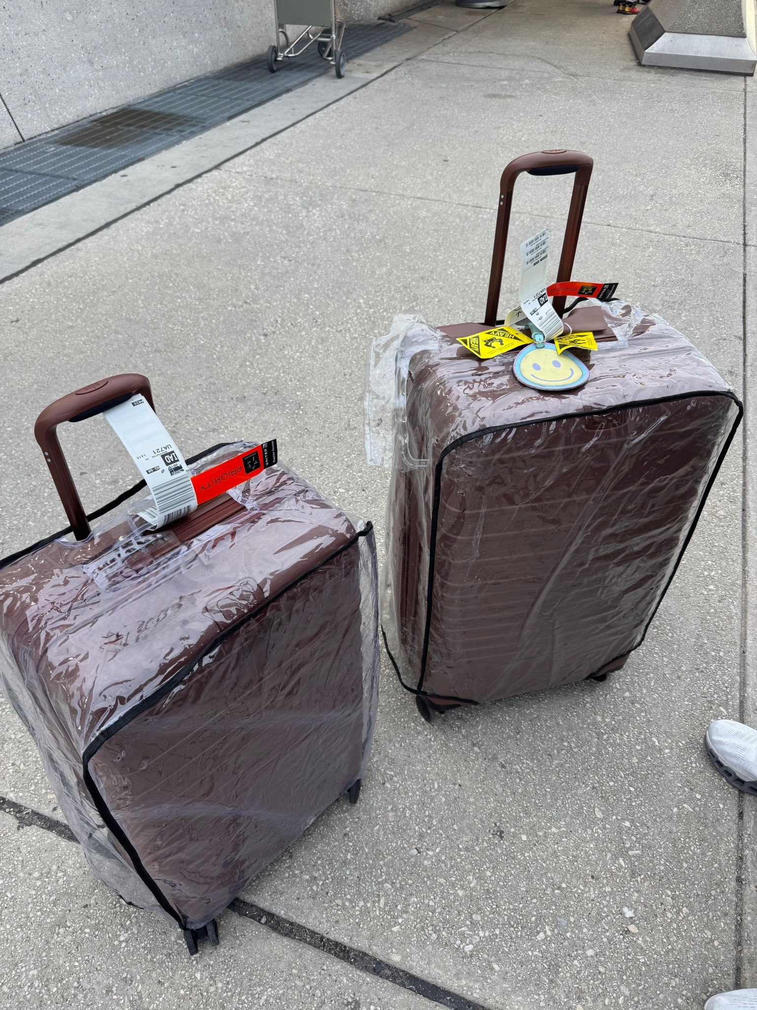 Medium & large beis bag luggage

#LTKTravel