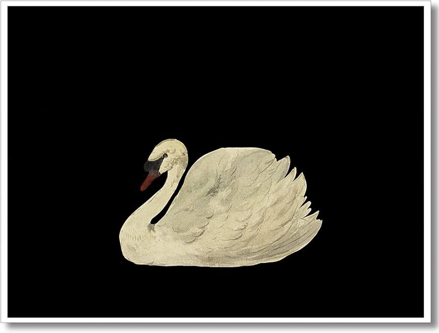 Yaasilinage Antique Swan Canvas Wall Art, Mute Watercolor Animal Pictures, Elegant Swan Art Print... | Amazon (US)