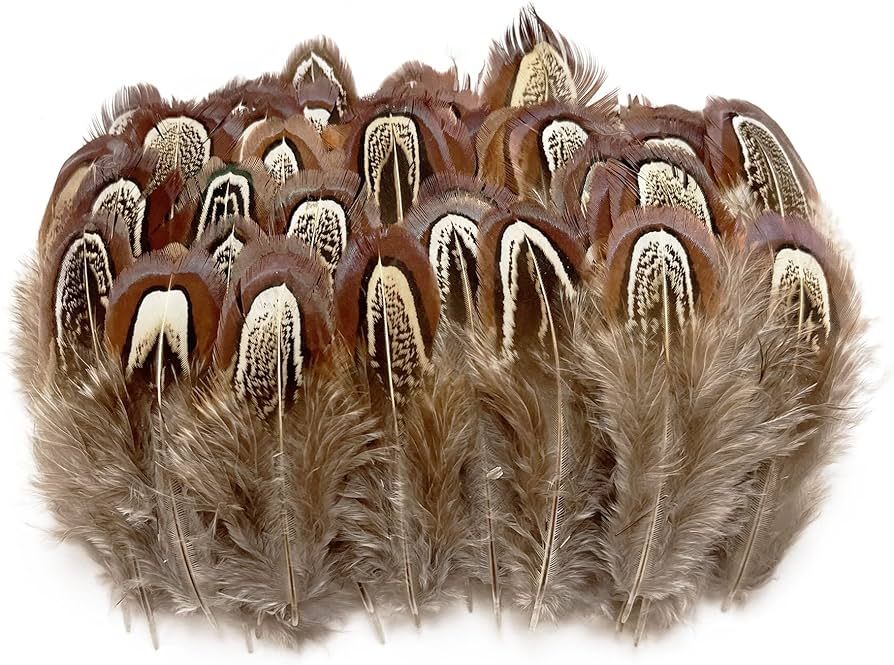 100 pcs Natural Pheasant Plumage Feathers 2-3 Inches Plumage Feathers for Sewing Crafts Clothing ... | Amazon (US)