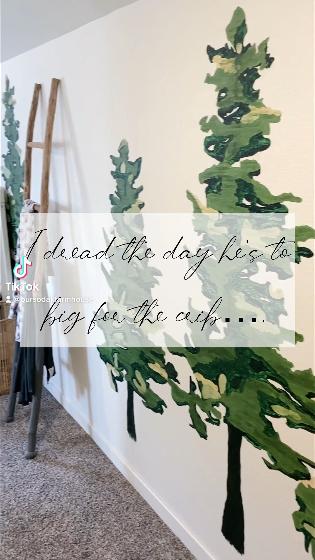 Woodland nursery, tree nursery, baby nursery inspo, baby boy, babies room, white crib, woodset nursery, woodland boys room 

#LTKfamily #LTKbaby #LTKhome