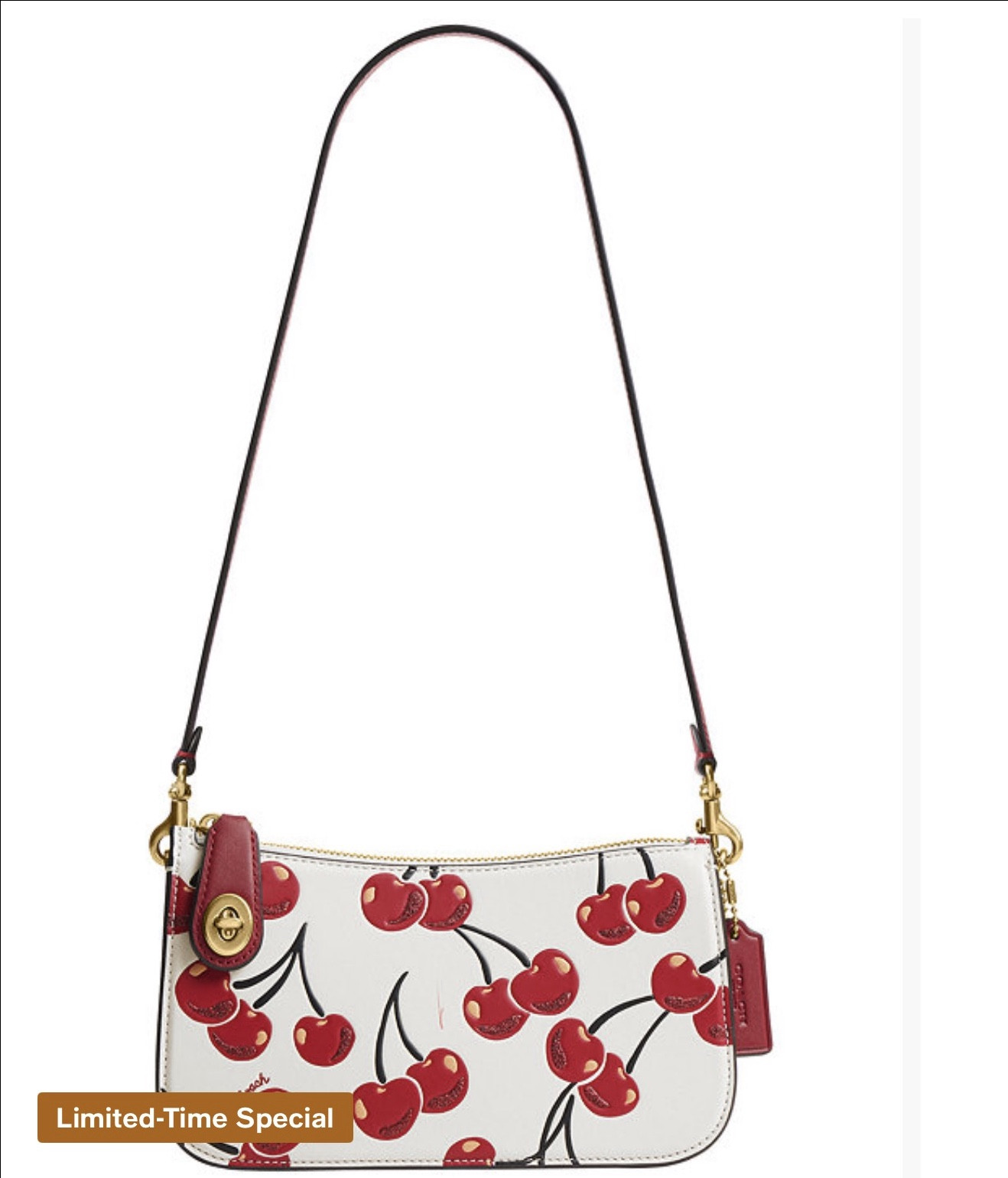 Coach Cherry Collection 🍒 

#LTKSeasonal #LTKGiftGuide #LTKFindsUnder100