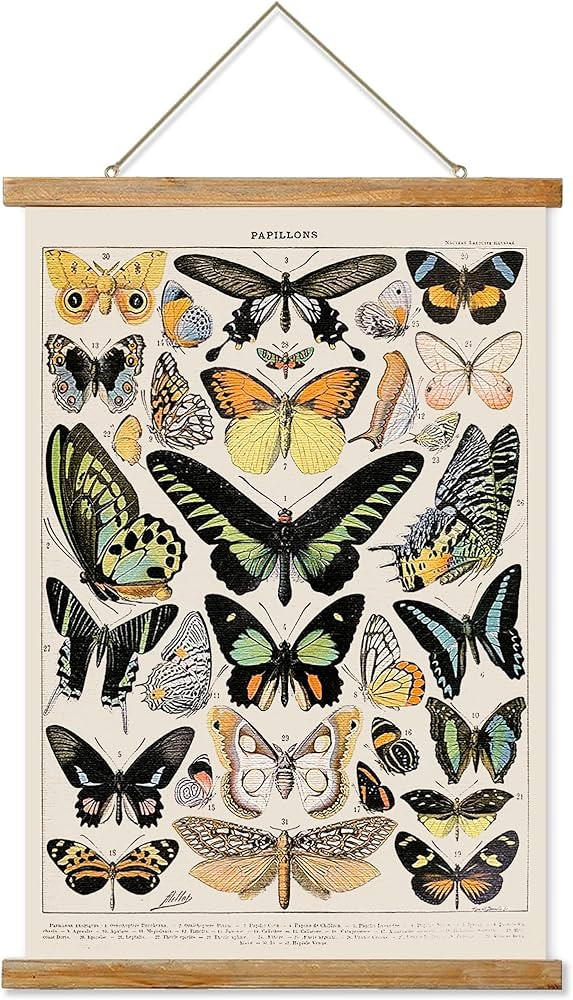 Ovfovy Vintage Butterfly Poster Hanger Frame, Retro Style of Wall Art Prints, Printed on Linen wi... | Amazon (US)