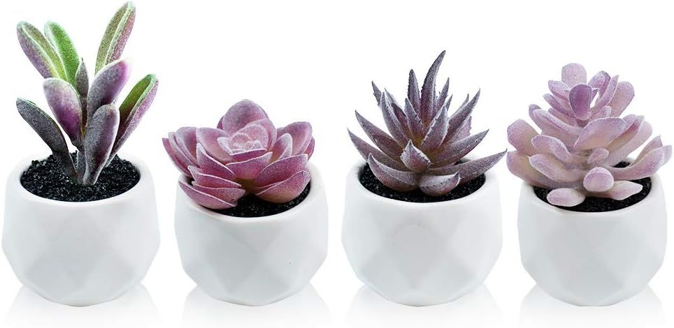 Tiita Artificial Faux Succulents in Pots Fake Plants Ceramic Arrangement Planter Small Mini Tiny ... | Amazon (US)