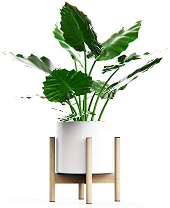 Hand-Mart Plant Stand - EXCLUDING Plant Pot, Mid Century Wood Modern Flower Pot Holder Heavy Duty... | Amazon (US)