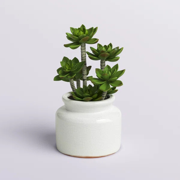 11'' Faux Succulent Plant in Ceramic Planter | Wayfair North America