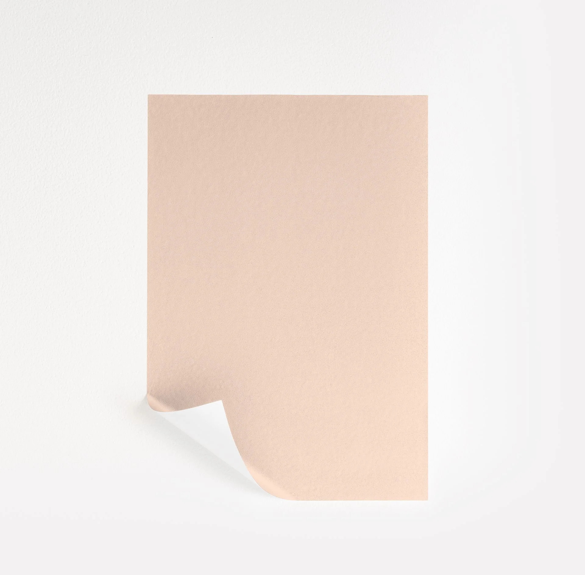 Whispering Peach Paint Sample by Benjamin Moore (2014-60) | Peel & Stick Paint Sample | Samplize