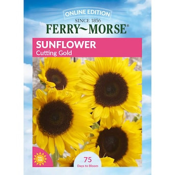 Ferry-Morse Sunflower Seeds 1.1 Gram(s) | Lowe's