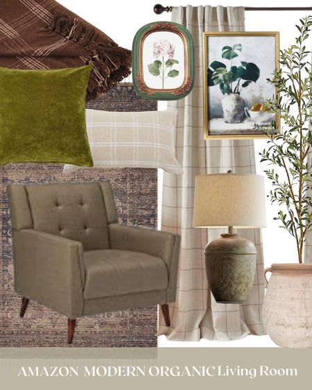 Modern Organic Living Room Aesthetic and Decor | rug | chair | lamp | faux tree | wall art | blanket | pillow